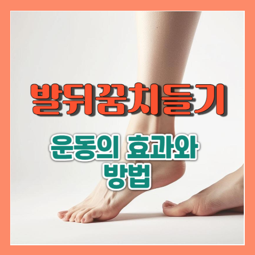 발뒤꿈치들기 운동의 효과와 방법