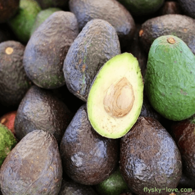 아보카도
