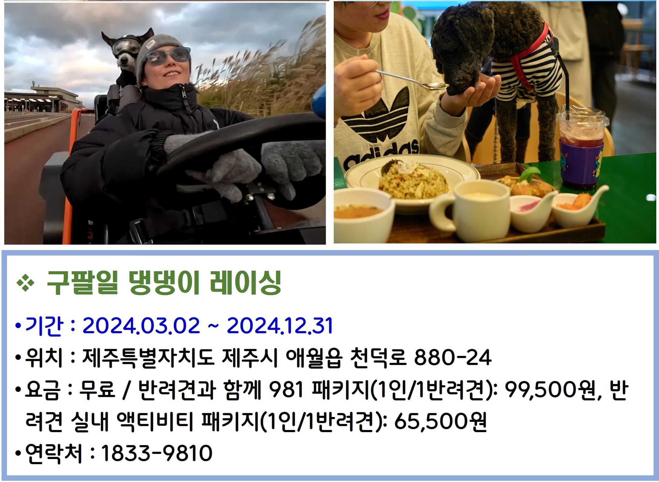 구팔일 댕댕이 레이싱