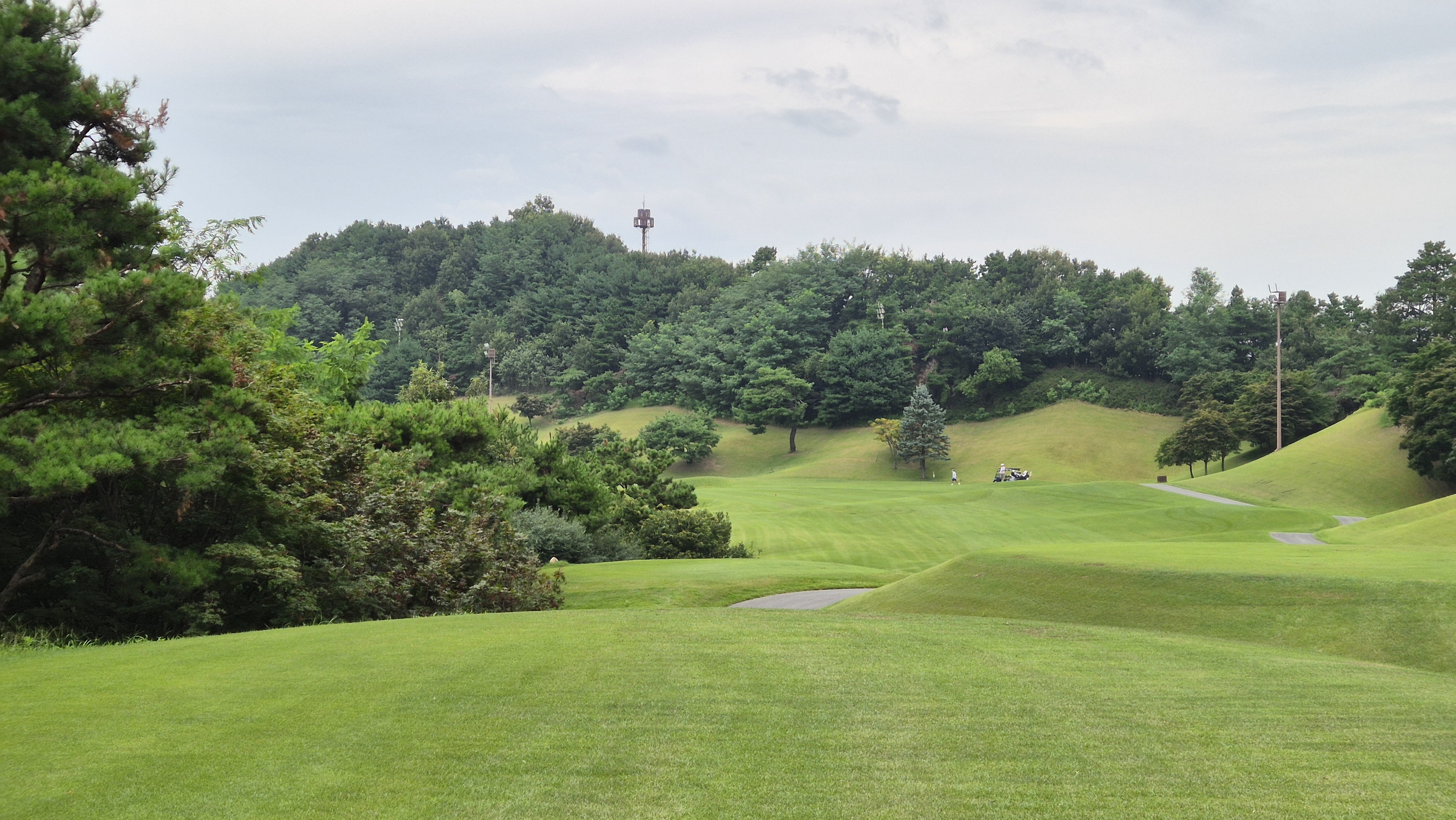 한림용인cc 다이아몬드-사파이어 코스 사진 및 공략 정보
