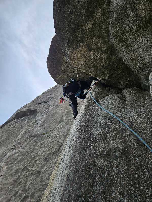 심우길 허벅지 재밍