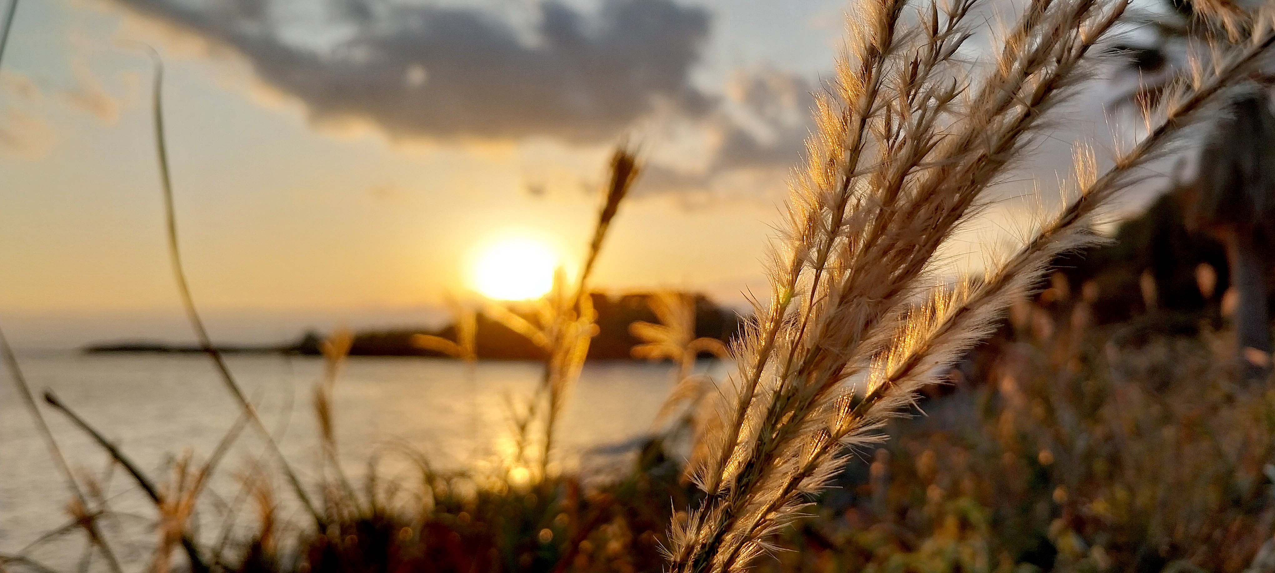 법환바다 컬러는 DIC·Pantone 별색