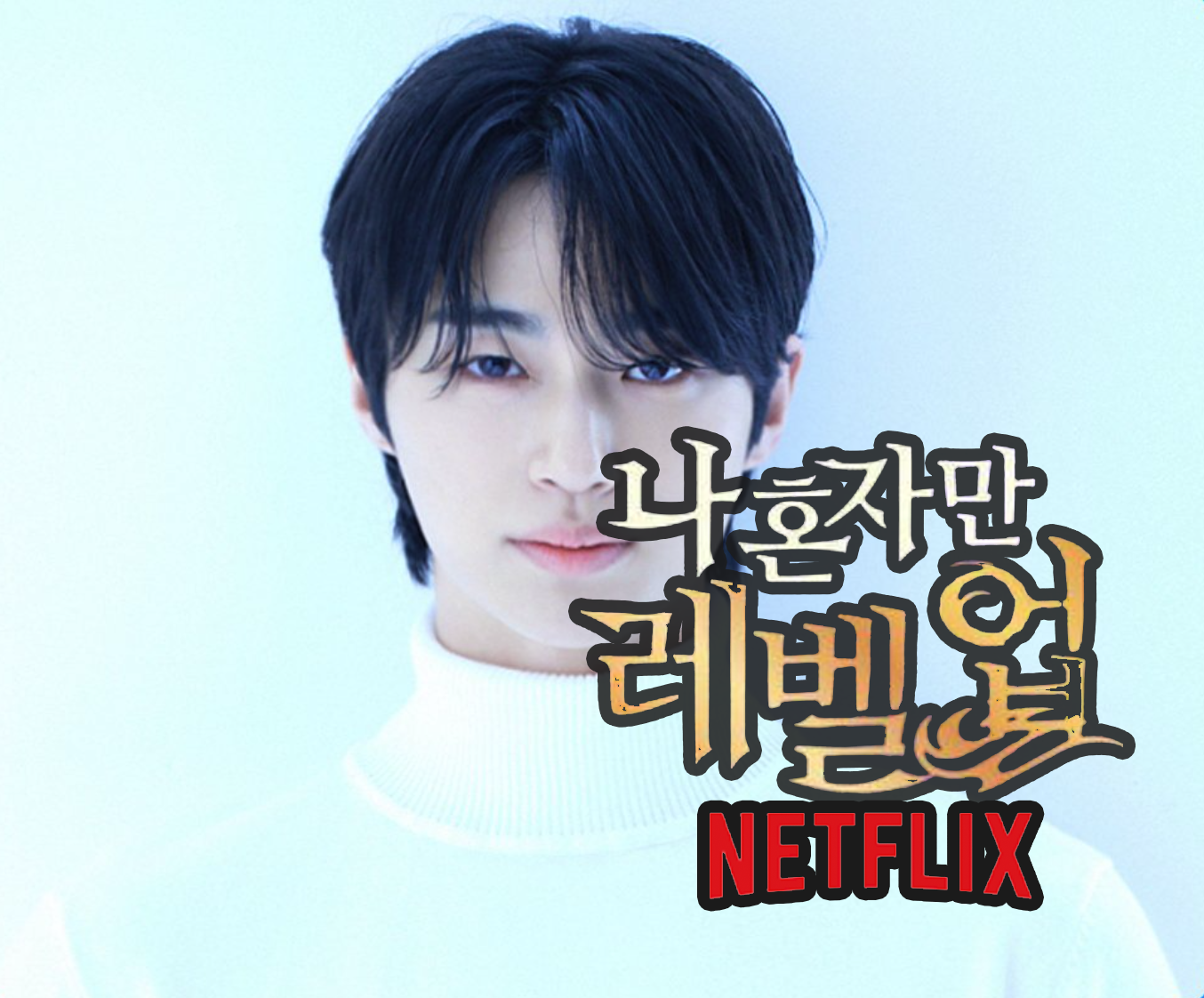 나 혼자만 레벨업 넷플릭스 이미지