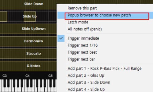 패치 브라우저 액세스