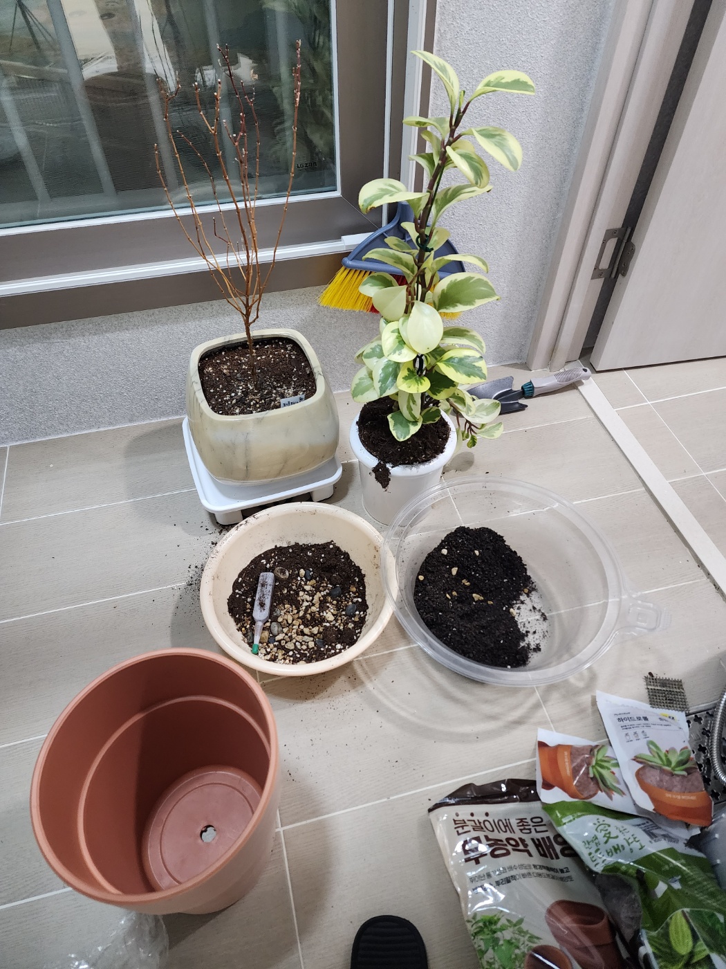 분갈이 준비를 위한 흙과 화분 