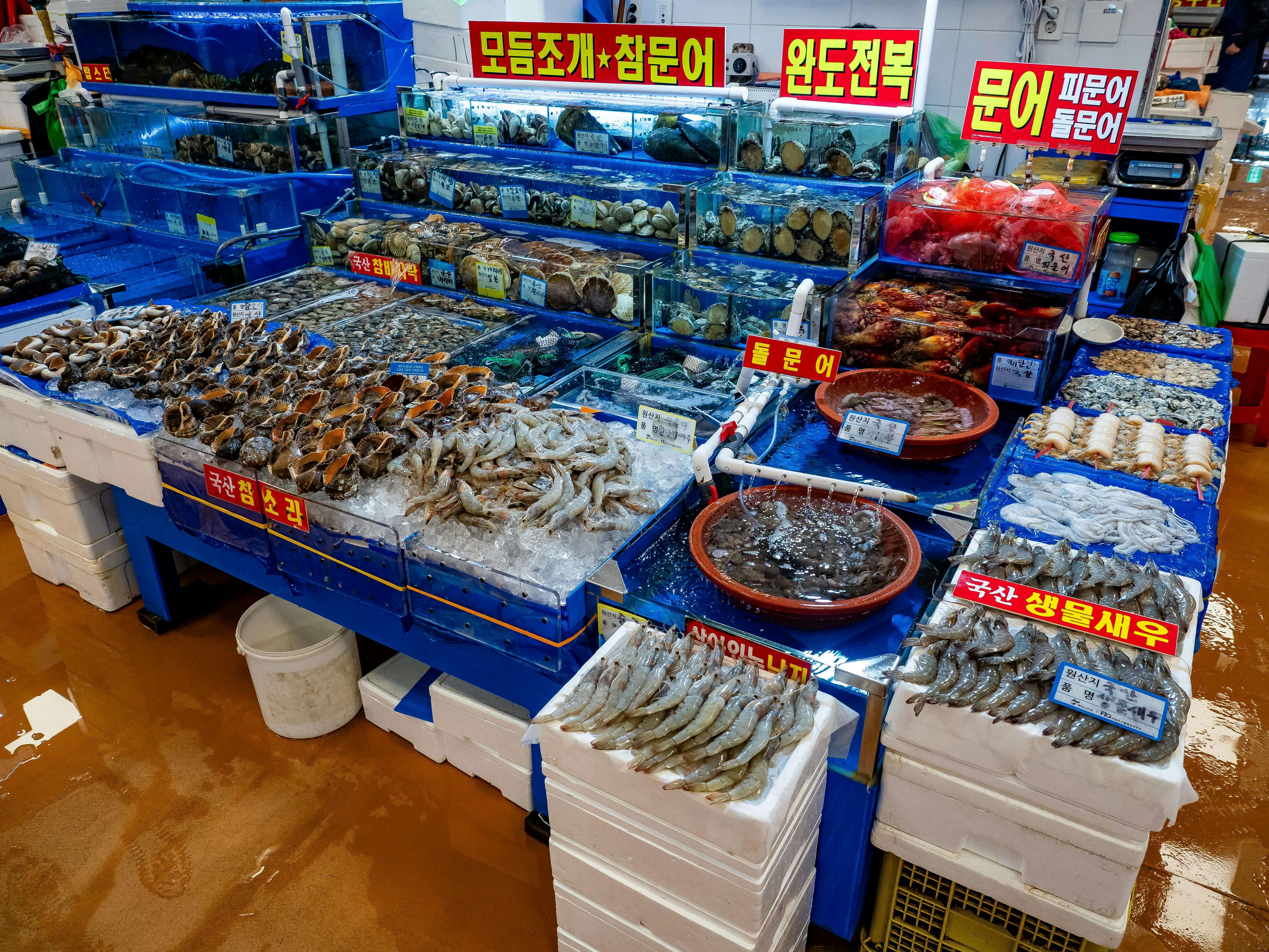 전통시장 소득공제 총정리｜최신 혜택부터 사용법까지!