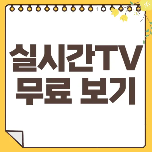 실시간TV 보기
