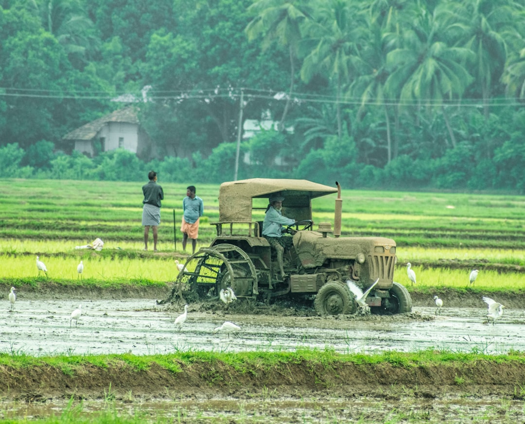 Farmers' allowance