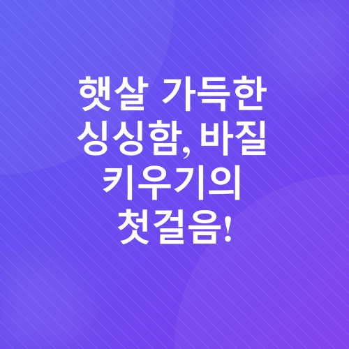 바질 키우기_1