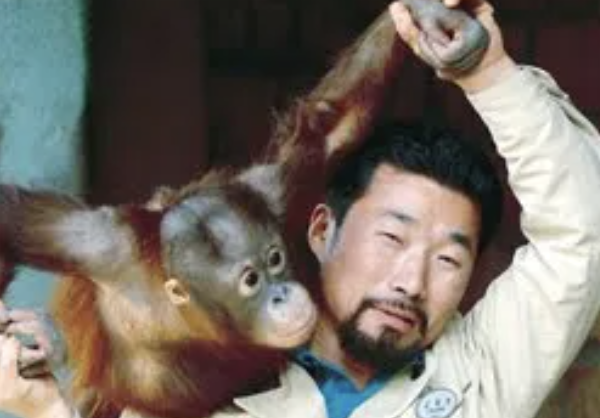 강철원 오랑우탄