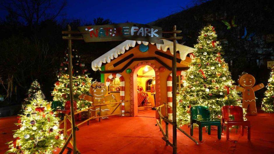 네이처파크 미라클 크리스마스 야경