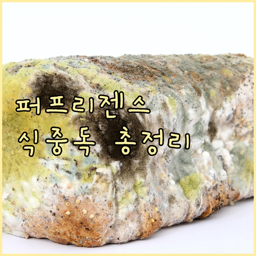 클로스트리디움 퍼프리젠스 식중독: 증..