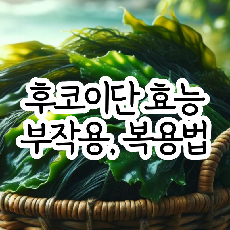 후코이단 효능 부작용 복용법 강아지 썸네일