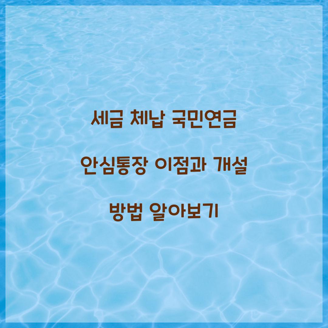 세금 체납 국민연금 안심통장