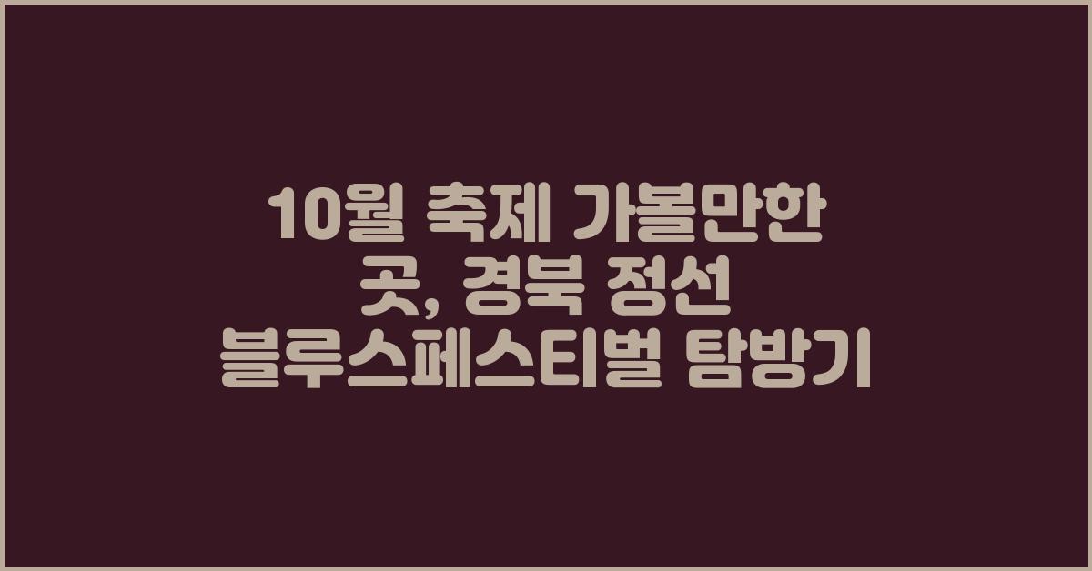 10월 축제 가볼만한 곳