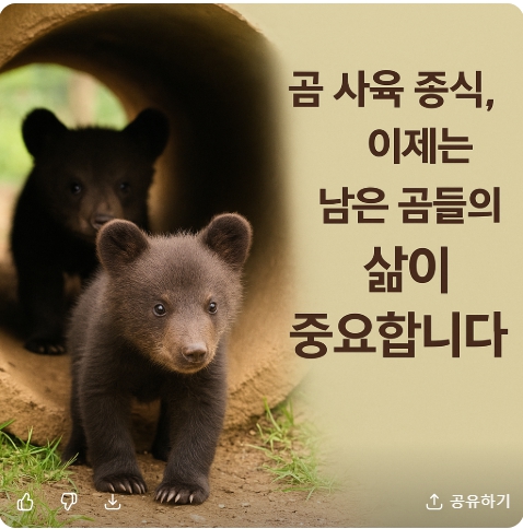 2026년 곰 사육 종식 이후 : 남은 곰들의 삶과 보호 과제