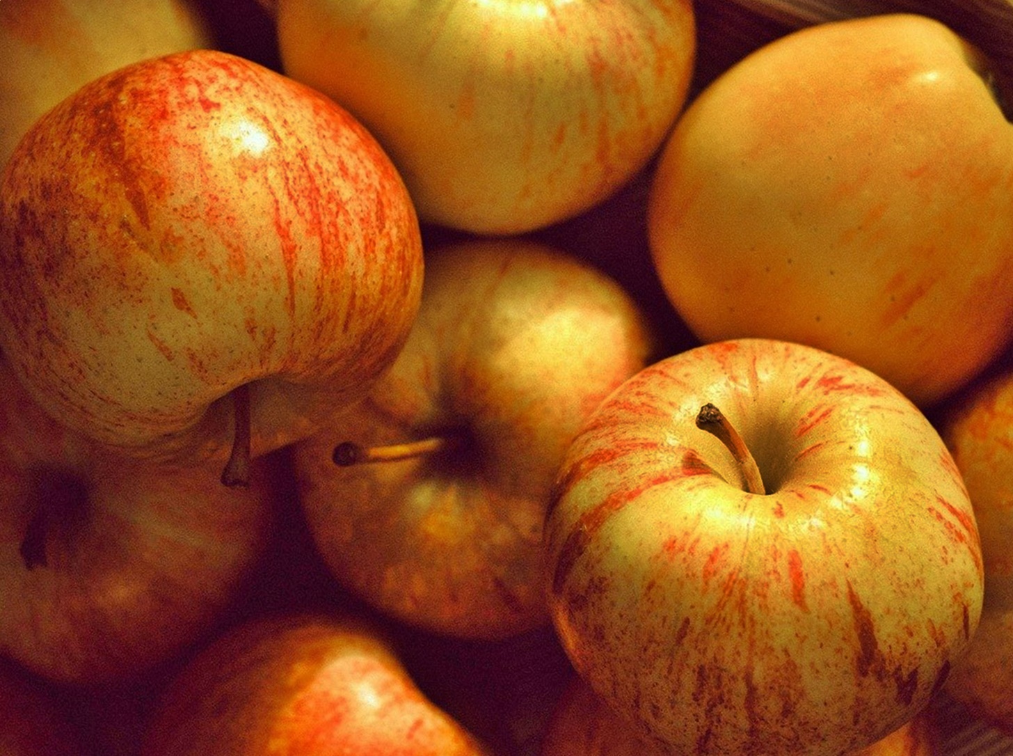 혈당의 방어막, 간이 무너질 때 보내는 5가지 침묵의 신호!