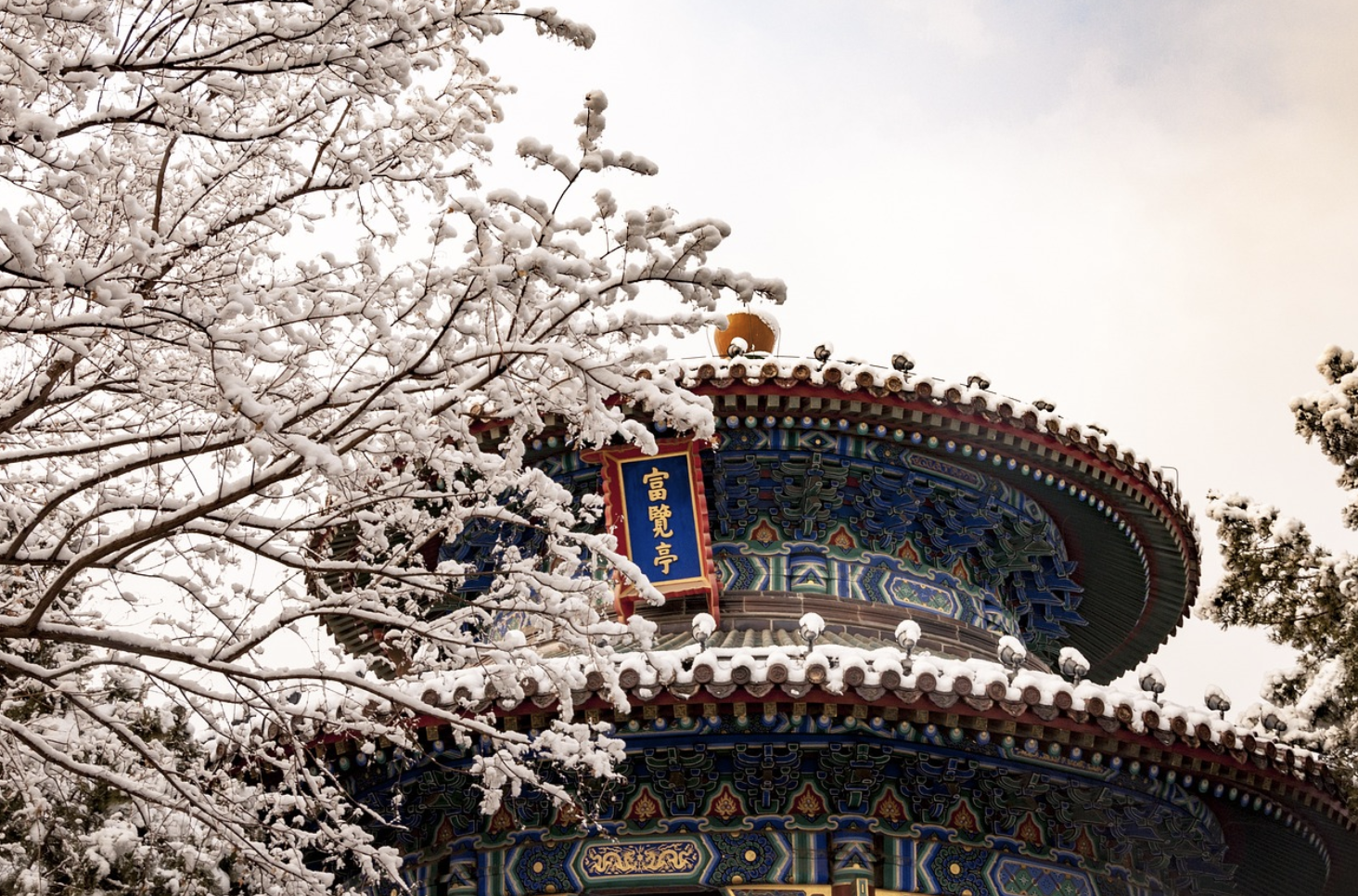 일본 vs 유럽 겨울여행 (눈맛집·온천·문화 비교)