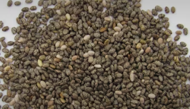 치아씨드 다이어트 효능