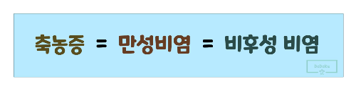축농증-만성비염-비우성-비염