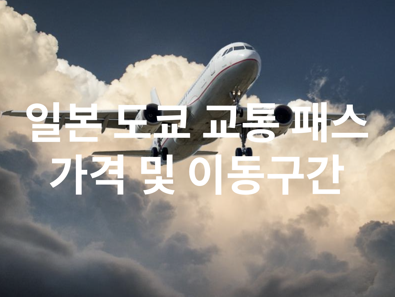 일본 도쿄 교통 패스 가격 및 이동구간