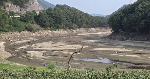 강릉 가뭄 108년 만의 최악 사태, 원인과 대책 총정리 관련 사진