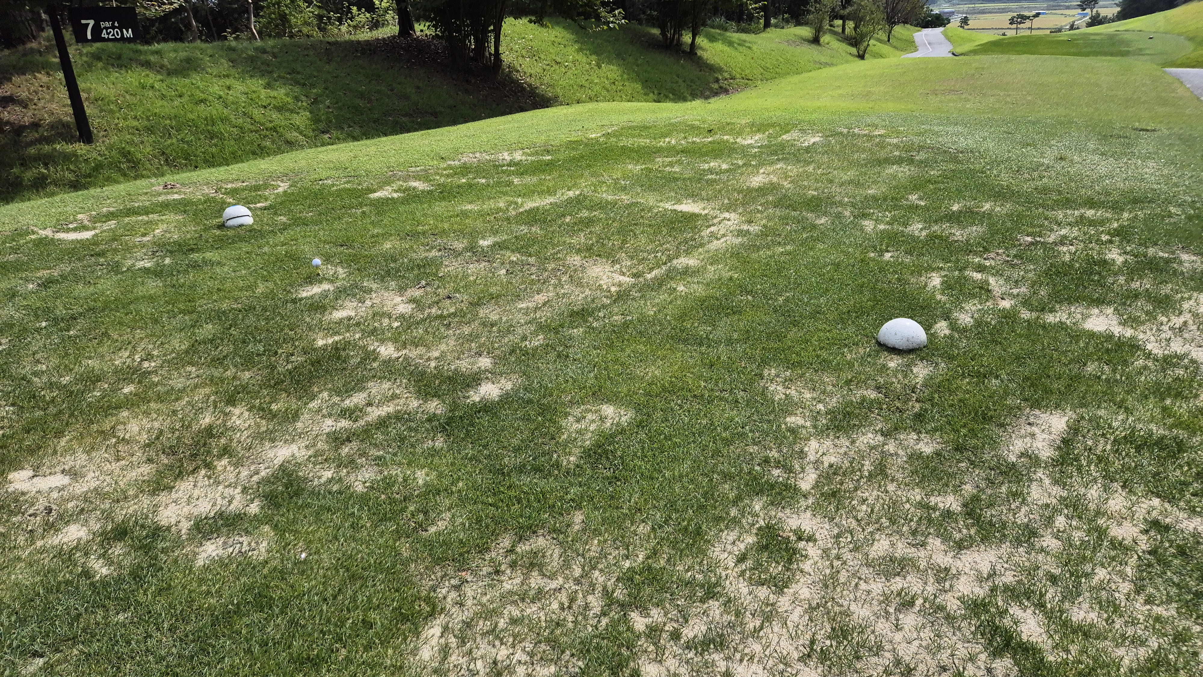 서산수cc 티잉구역 상태