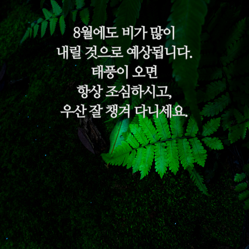 8월 아침 저녁 인사말 문구 이미지 모음