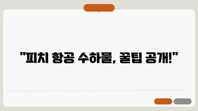 피치 항공 위탁 수하물 신청