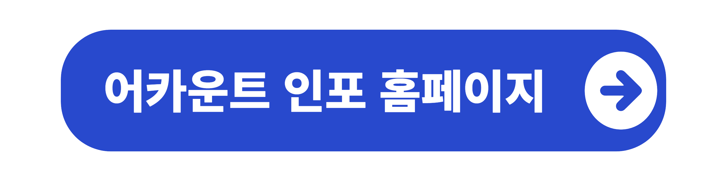 어카운트 인포 홈페이지