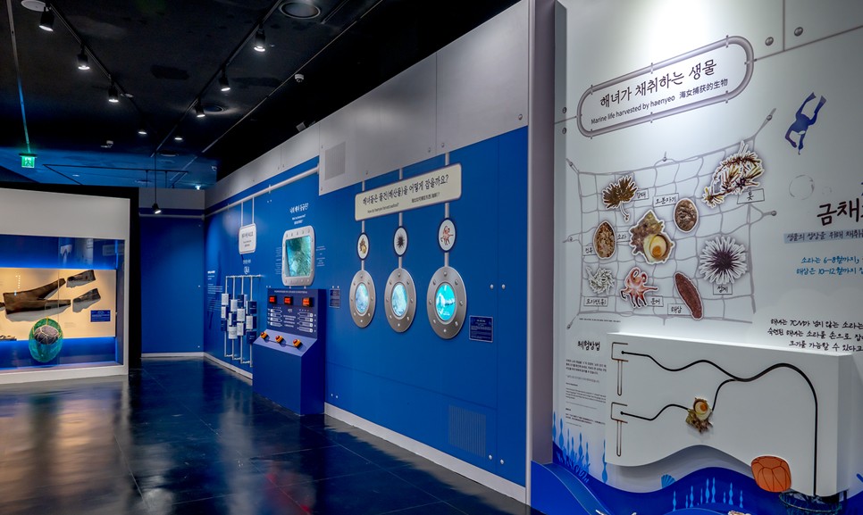 제주 동쪽 가볼만한곳 (물 그리고 숨 &ndash; 제주 해녀의 바당)