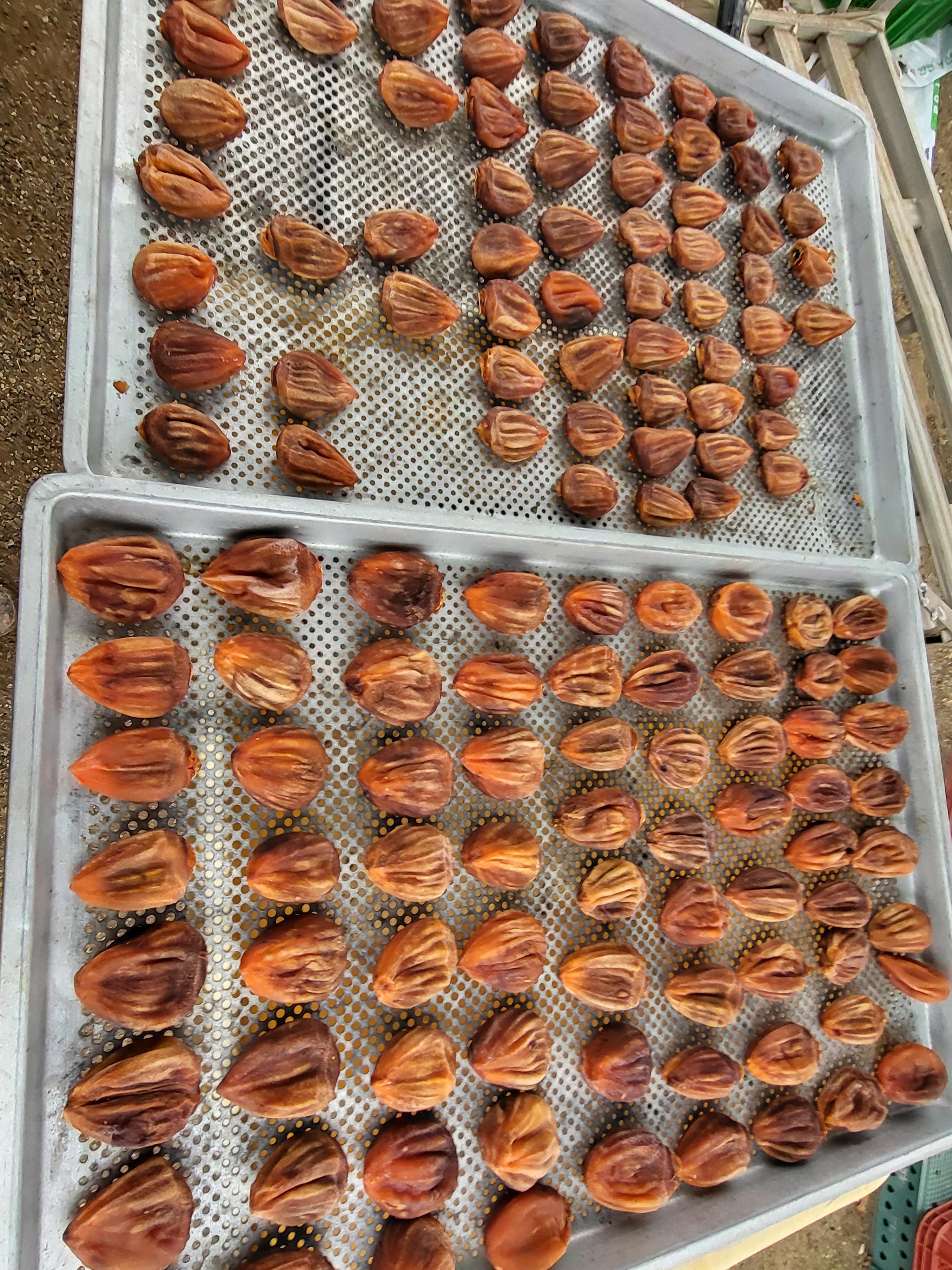 곶감 말려요