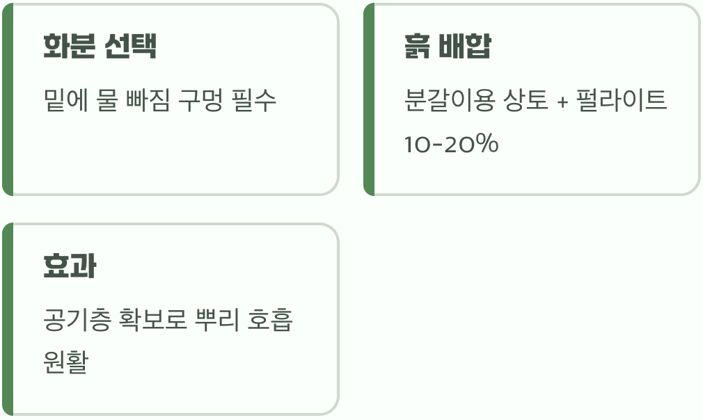 화분과 흙&amp;#44; 물주기의 시작점