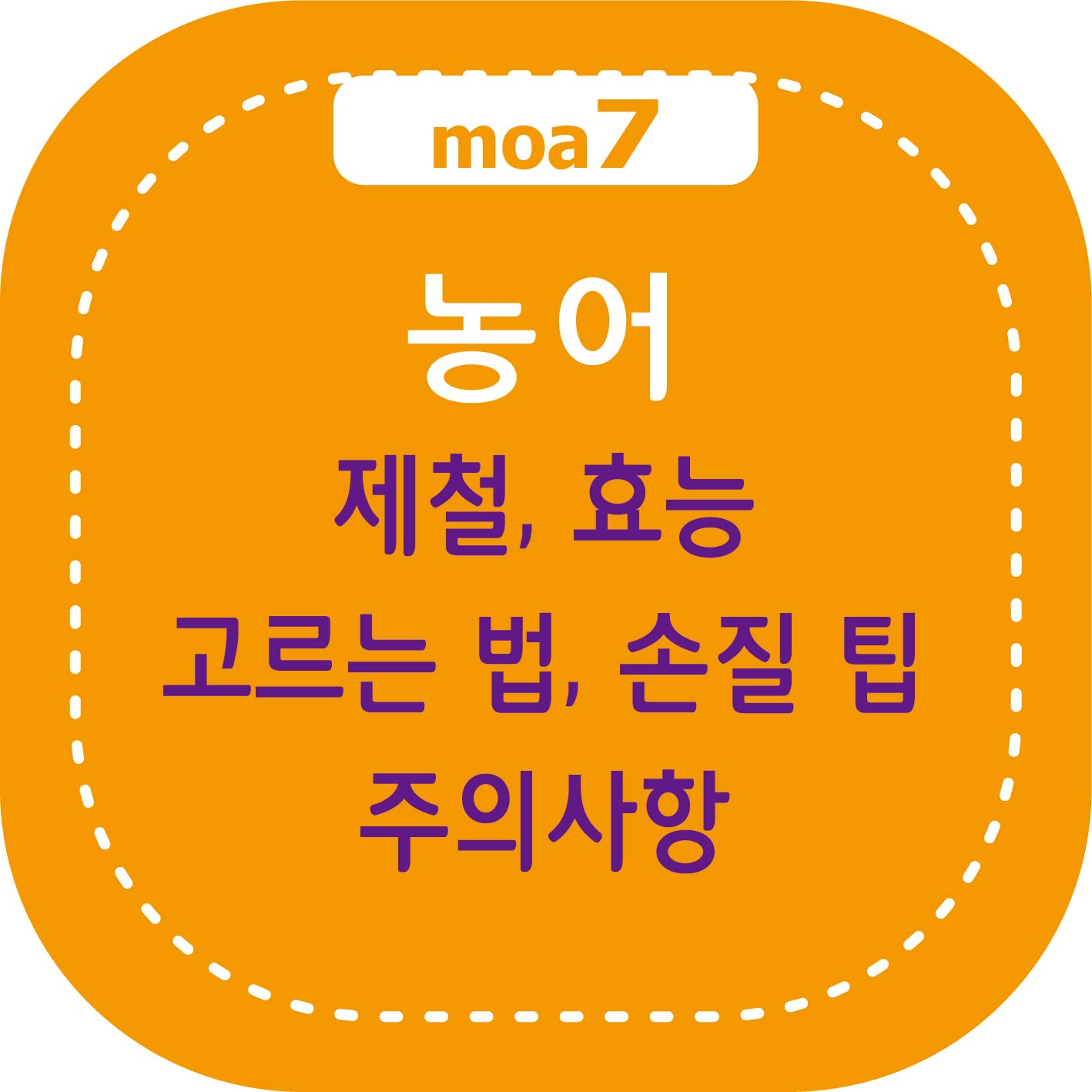 농어 효능, 고르는 법, 손질 팁, 요리, 주의사항