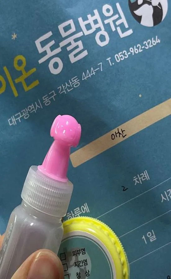 봄이온동물병원