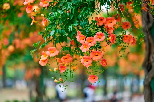 7월 꽃축제 꽃구경 인생사진 명소