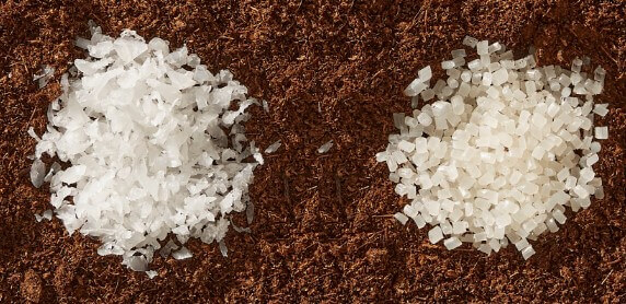 LG화학 생분해 소재 PLH 특징, 장점, 미래 전망