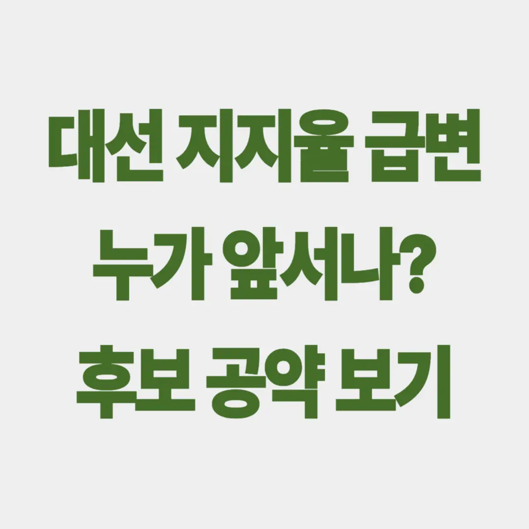 이재명 김문수 이준석 지지율 비교와 투표소 안내