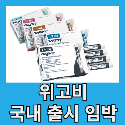 "국내 출시 임박"