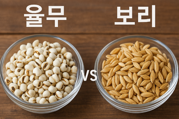 "율무 vs 보리"에 대한 이미지입니다.