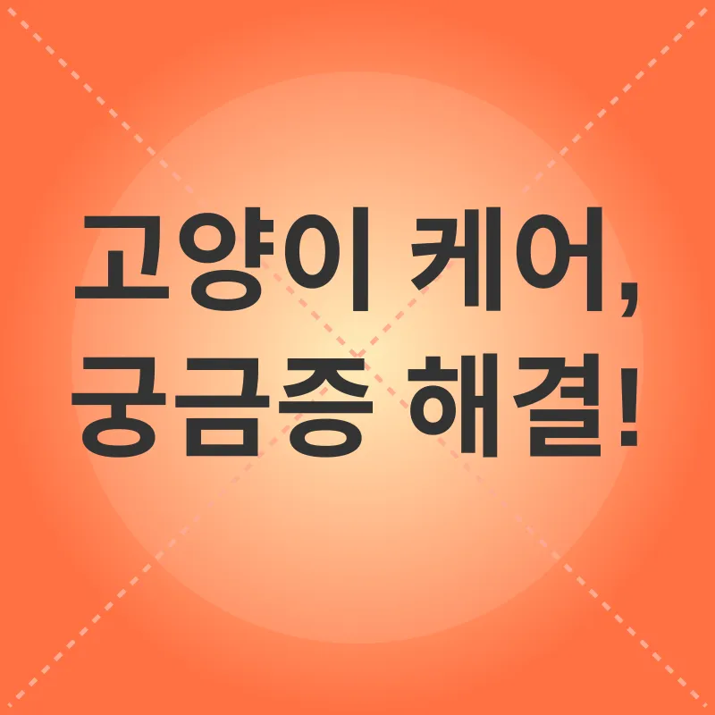 세계 고양이의 날_4