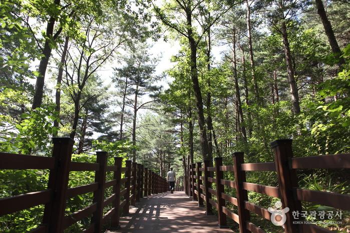 겨울 여행지 베스트 10