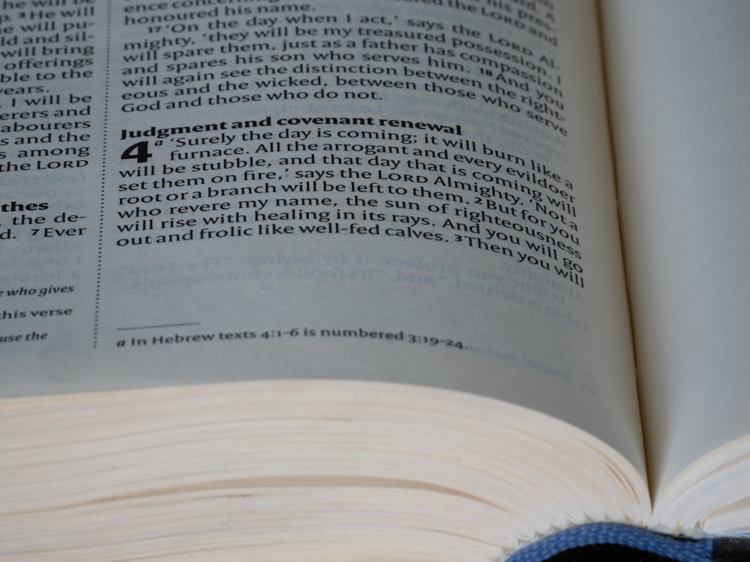 reimbursement (뜻 환급)