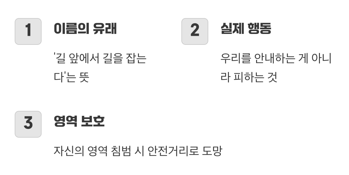 우리 앞에 나타나는 특별한 이유