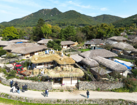[6시 내고향] 아산 은행나무길&amp;#44; 캔아트&amp;#44; 피나클랜드 수목원&amp;#44; 외암민속마을&amp;#44; 수수부꾸미 정보
