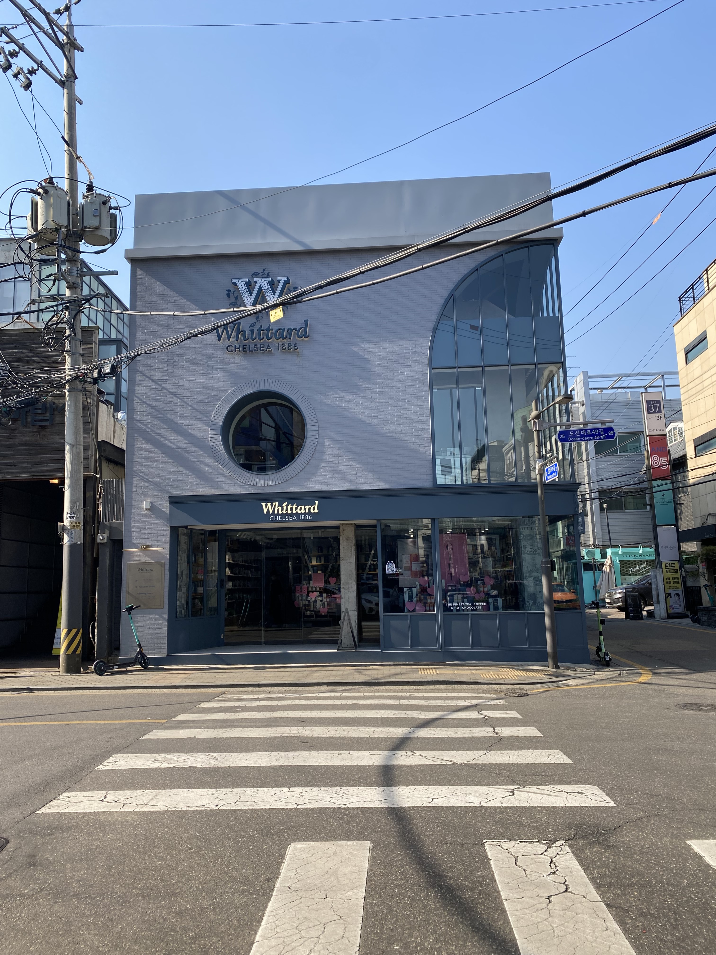 위타드플래그십