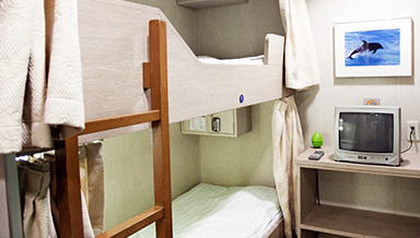 스탠다드 벙커베드