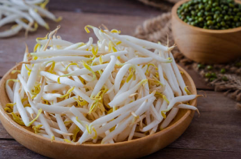 숙주나물무침