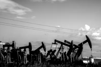 기름값 지원금 지급일 완벽 가이드