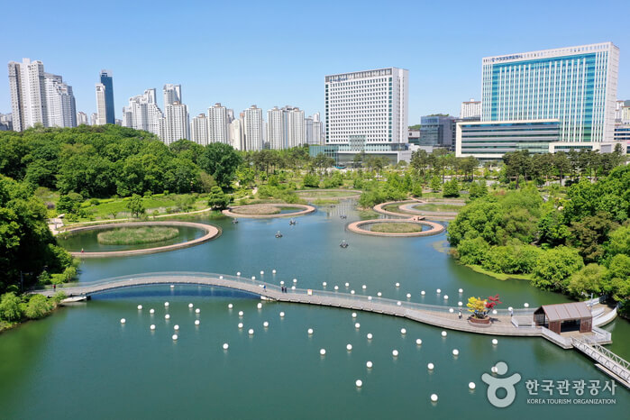 튤립명소 수원 광교호수공원